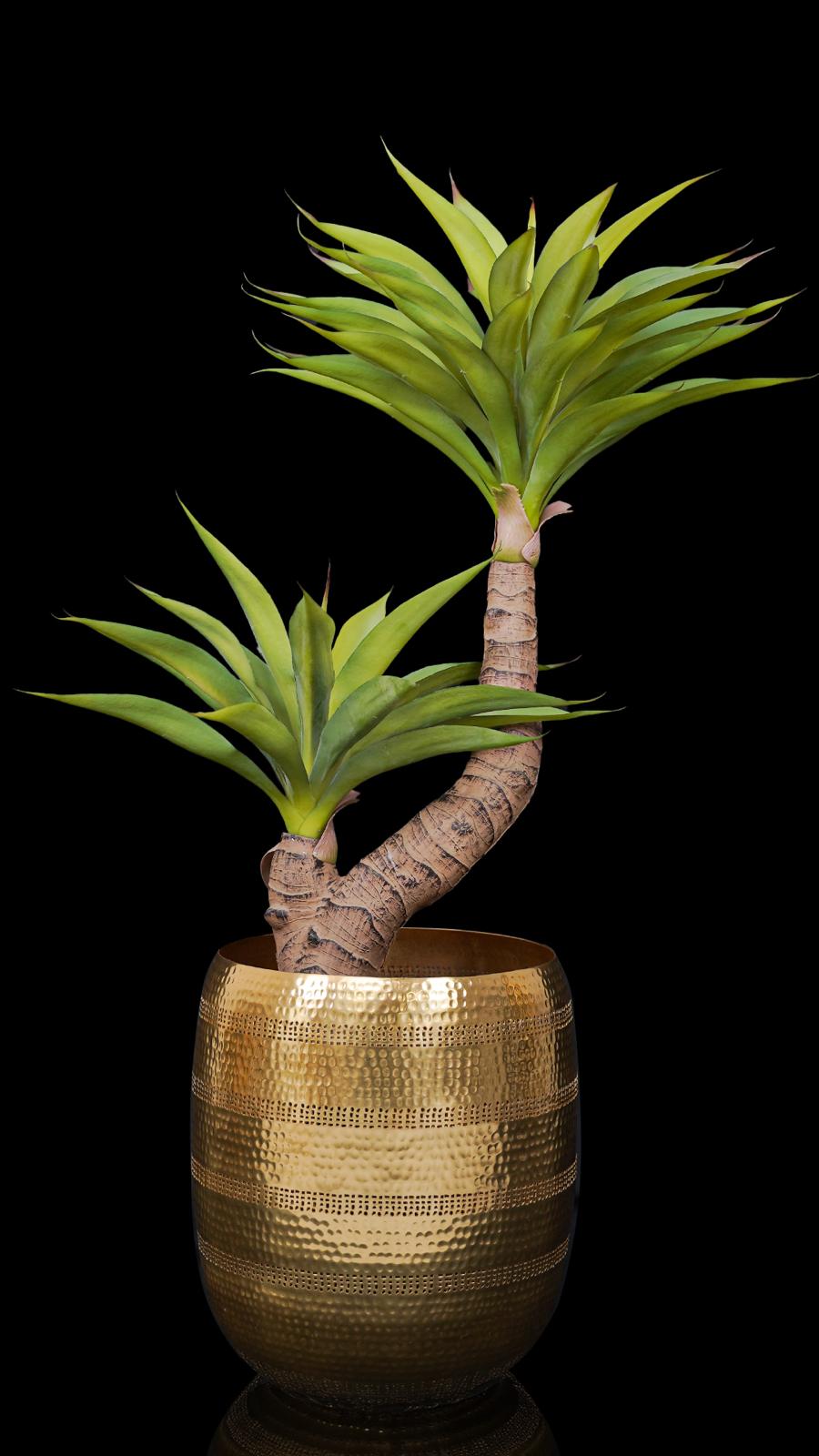 SET 2 VASI CLAIRE L/XL