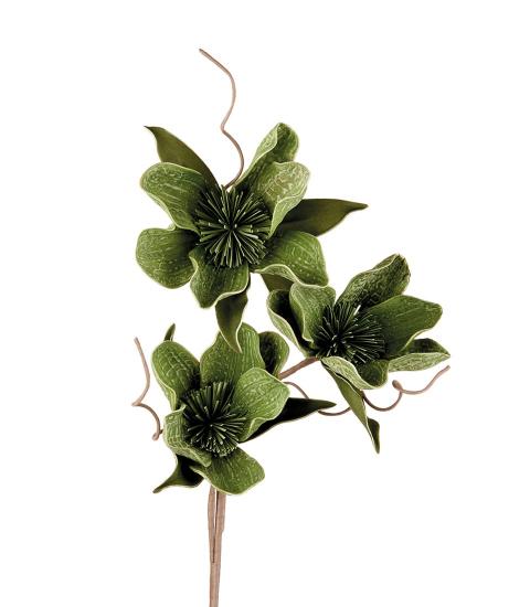 FIORE DI CEIBA