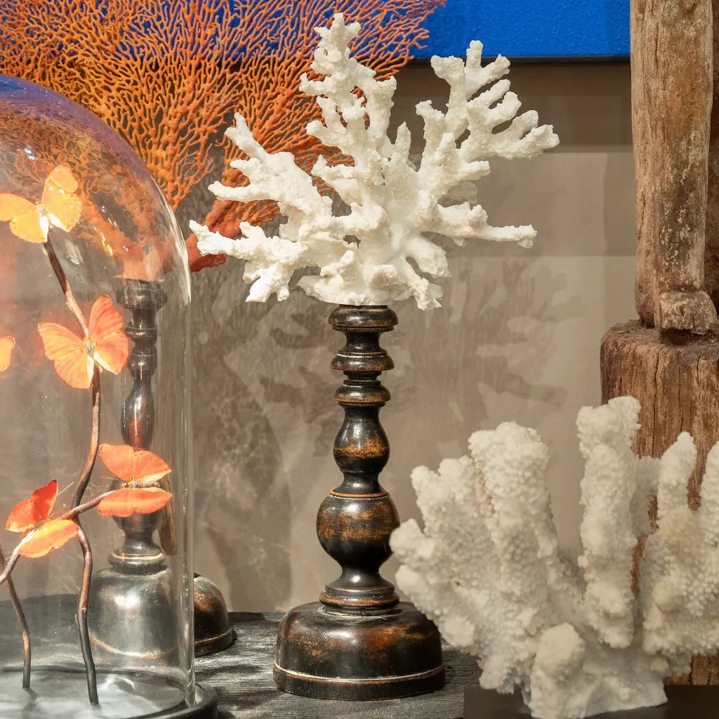 CORALLO SU PIEDISTALLO