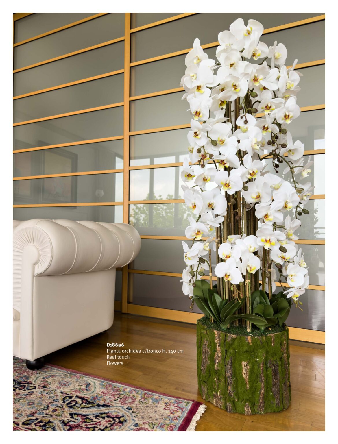 PIANTA ORCHIDEA CON TRONCO