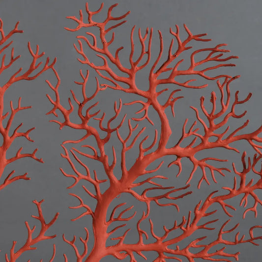 GORGONIA MARINA ROSSA