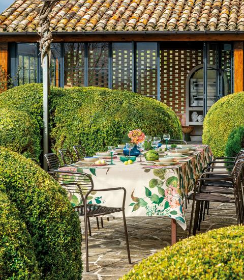 RUNNER ANTIMACCHIA - JAIPUR