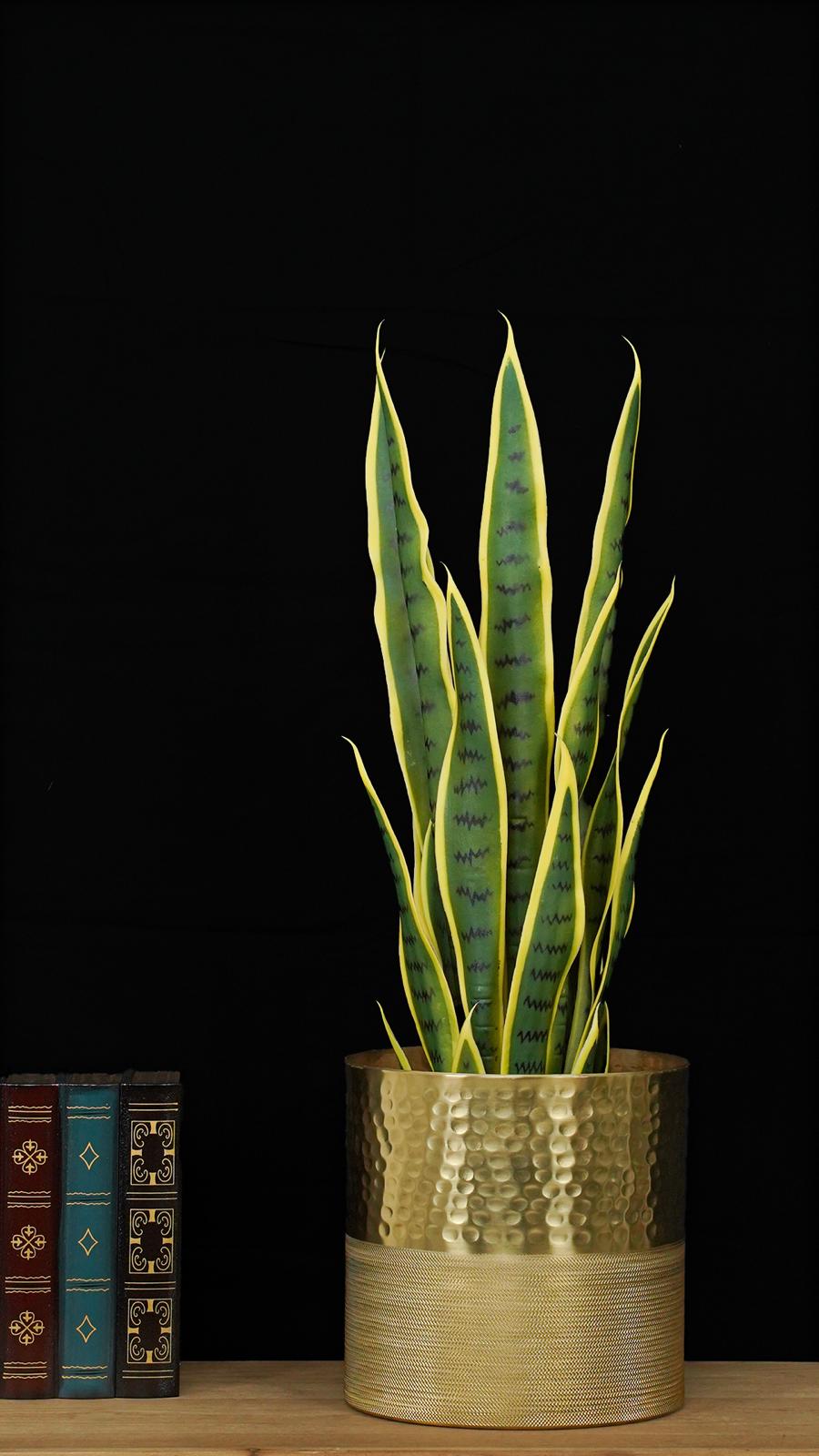 SET 2 VASI GRACE L/XL