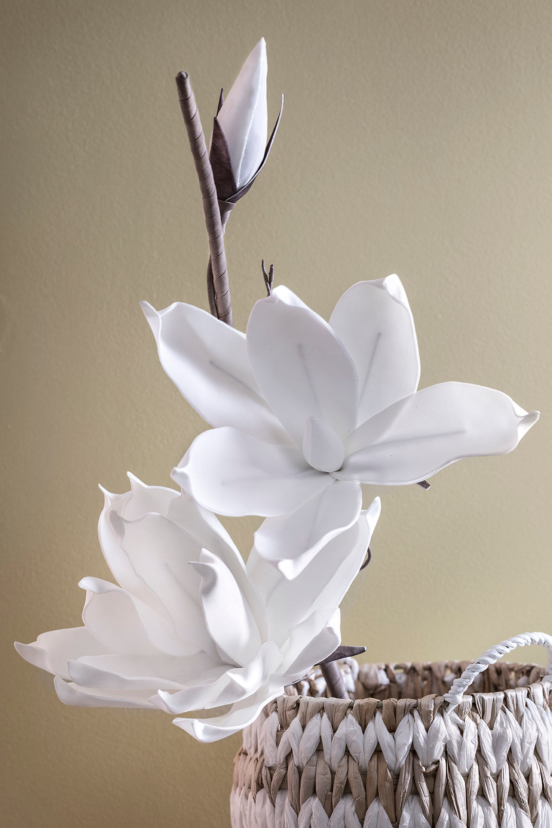 MAGNOLIA