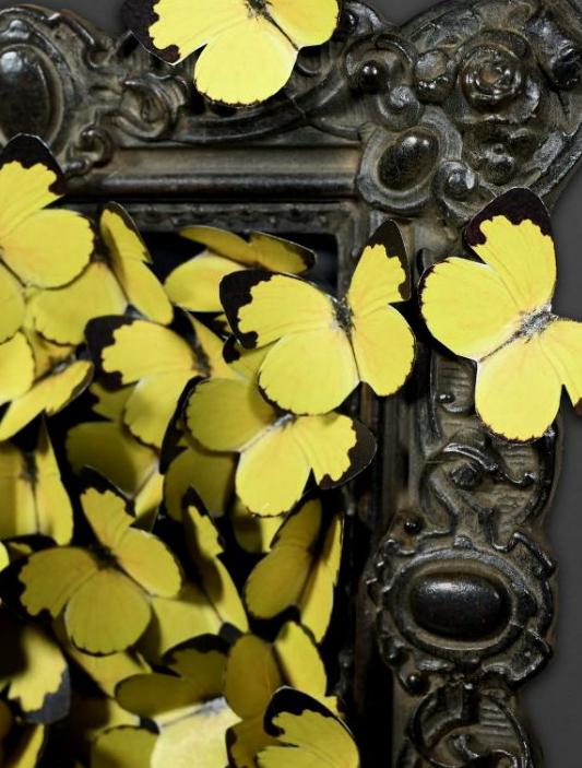 CORNICE CON FARFALLE GIALLE