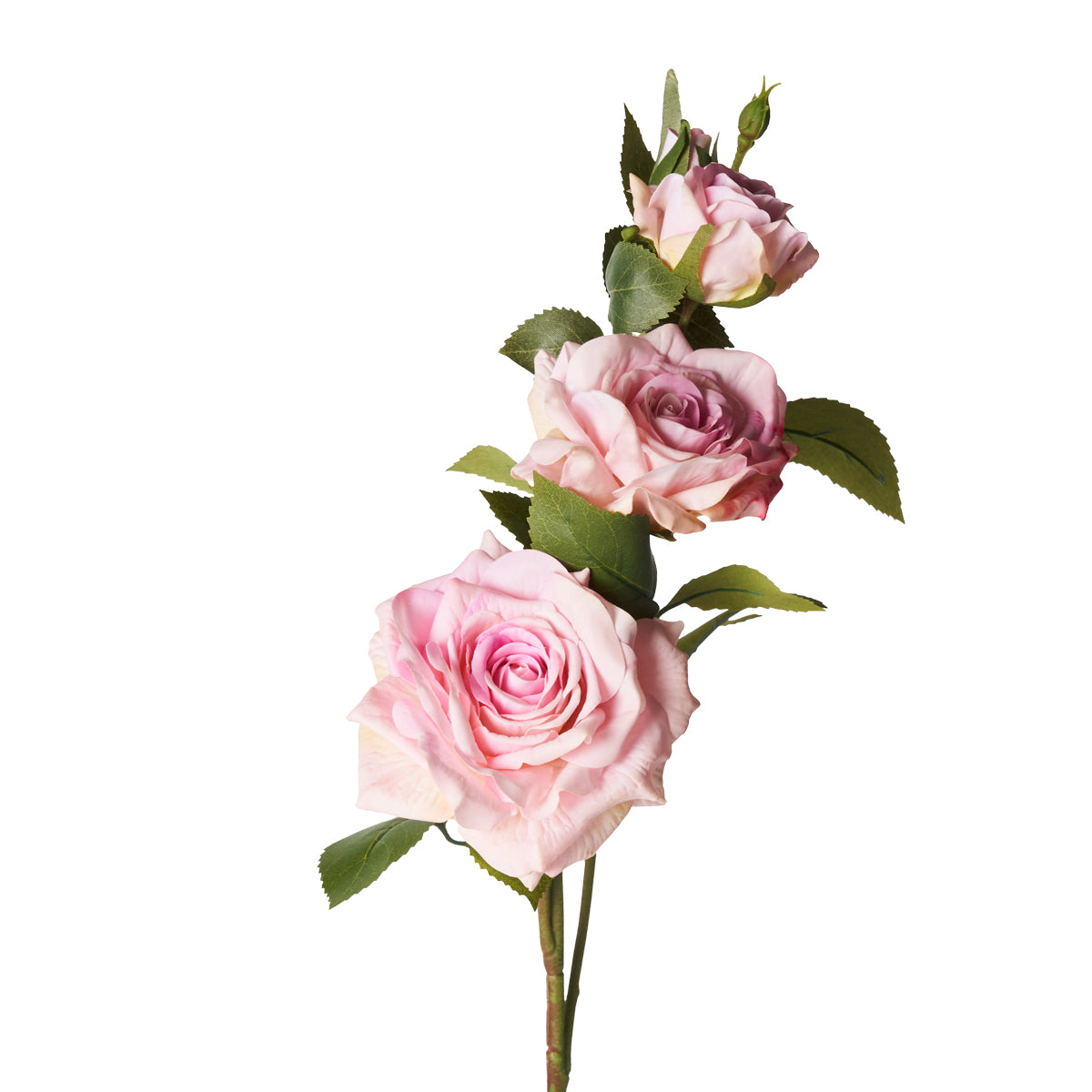 ROSE "REAL TOUCH" ROSA FLOWERS