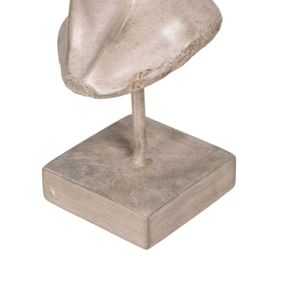 SCULTURA FACCIA BEIGE