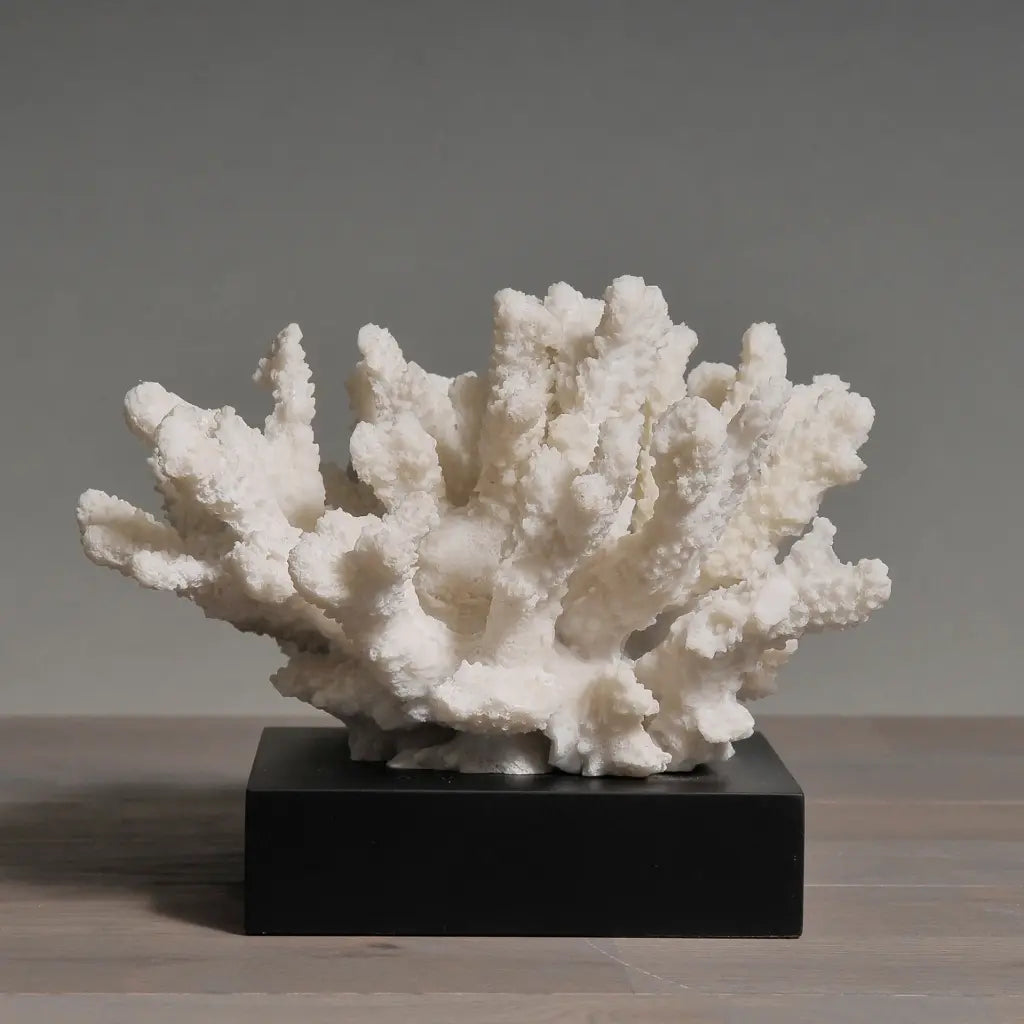 ACROPORA FLORA WHITE CORAL MOULDING CON BASE NERA