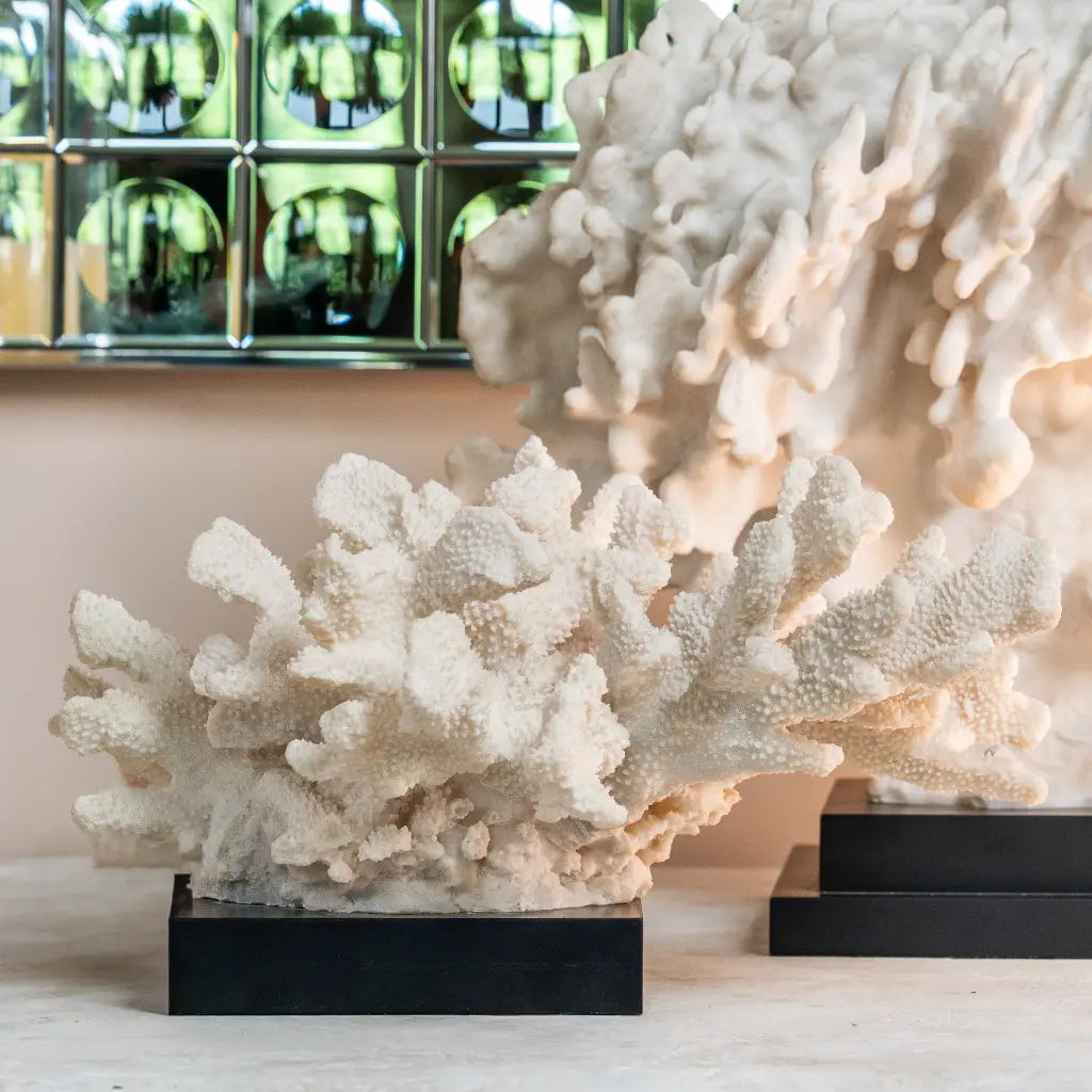 ACROPORA FLORA WHITE CORAL MOULDING CON BASE NERA