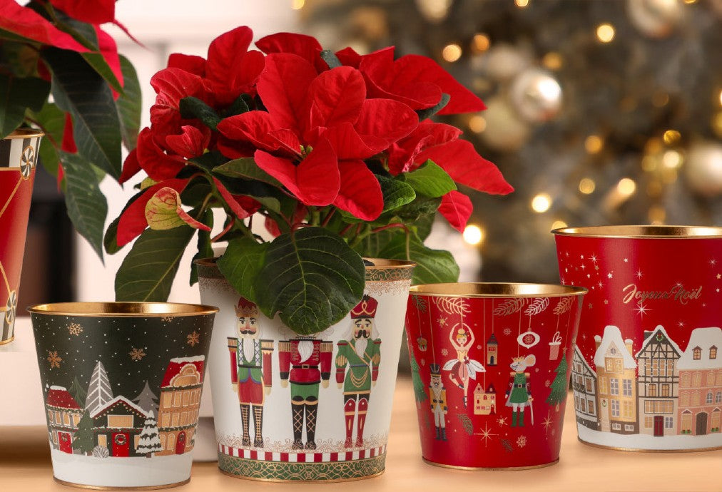 2 SET VASETTI SCHIACCIANOCI