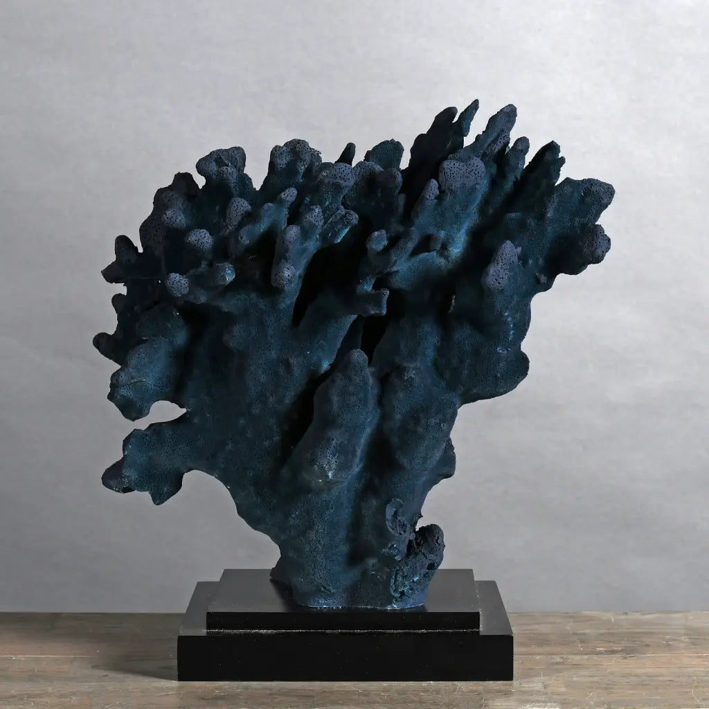 CORALLO STYLOPHORA PISTILLATA GRANDE