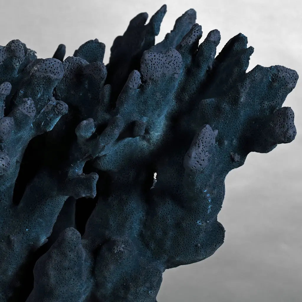 CORALLO STYLOPHORA PISTILLATA GRANDE