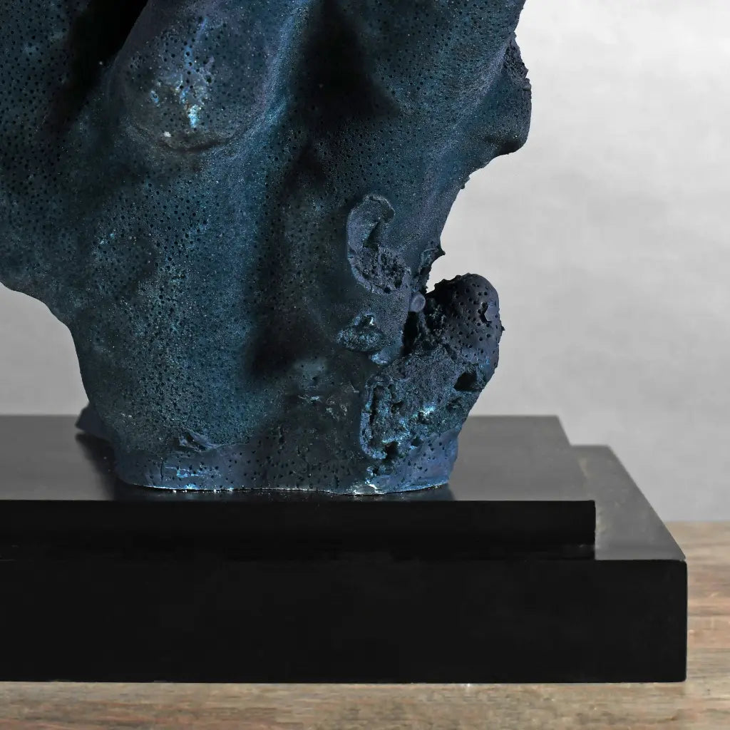 CORALLO STYLOPHORA PISTILLATA GRANDE