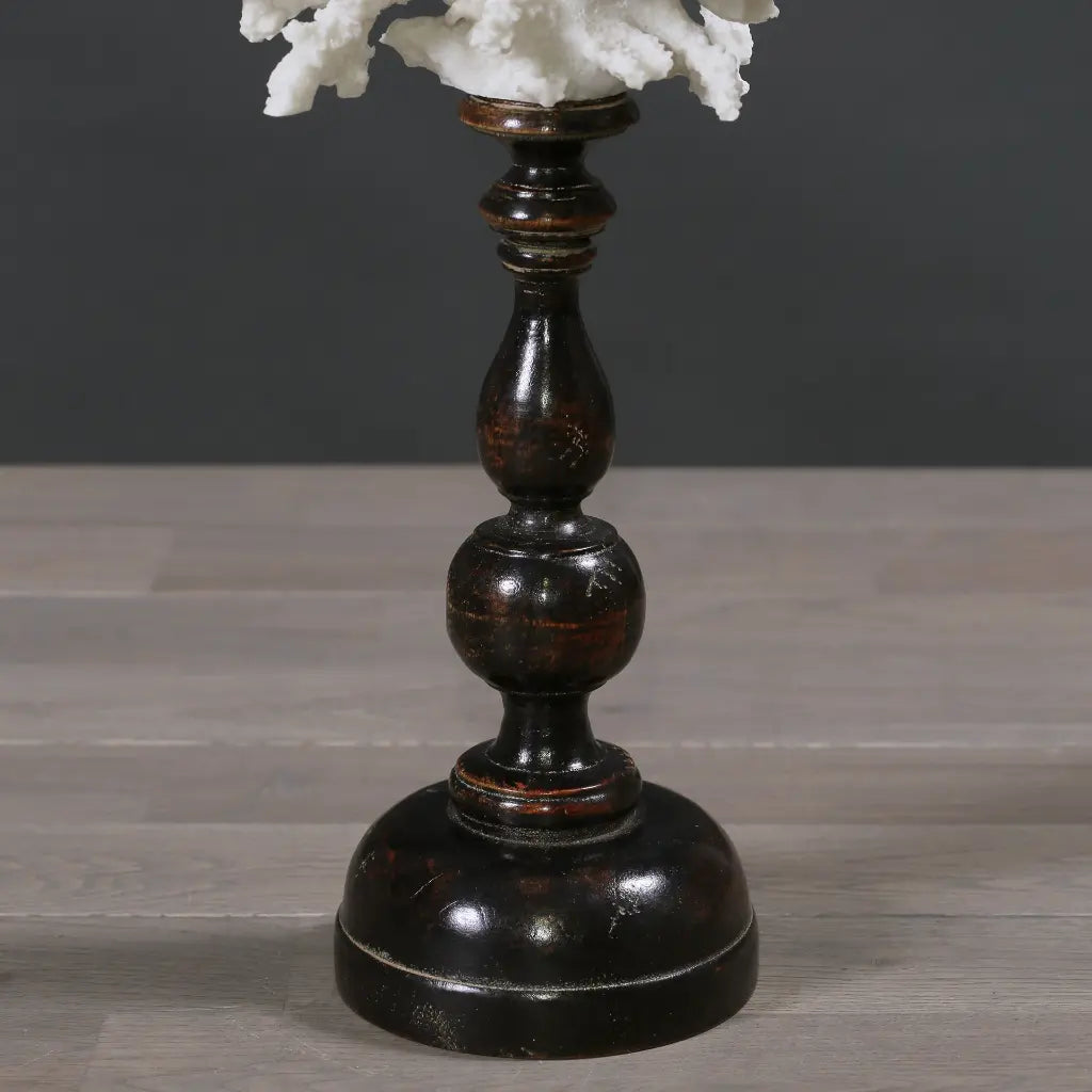 CORALLO SU PIEDISTALLO