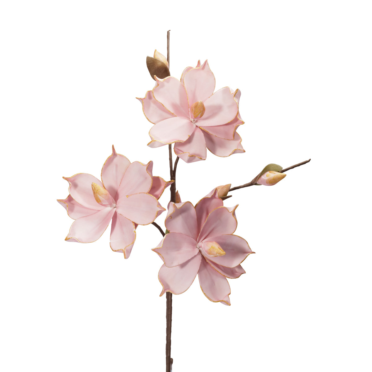 Rose Magnolia/Or