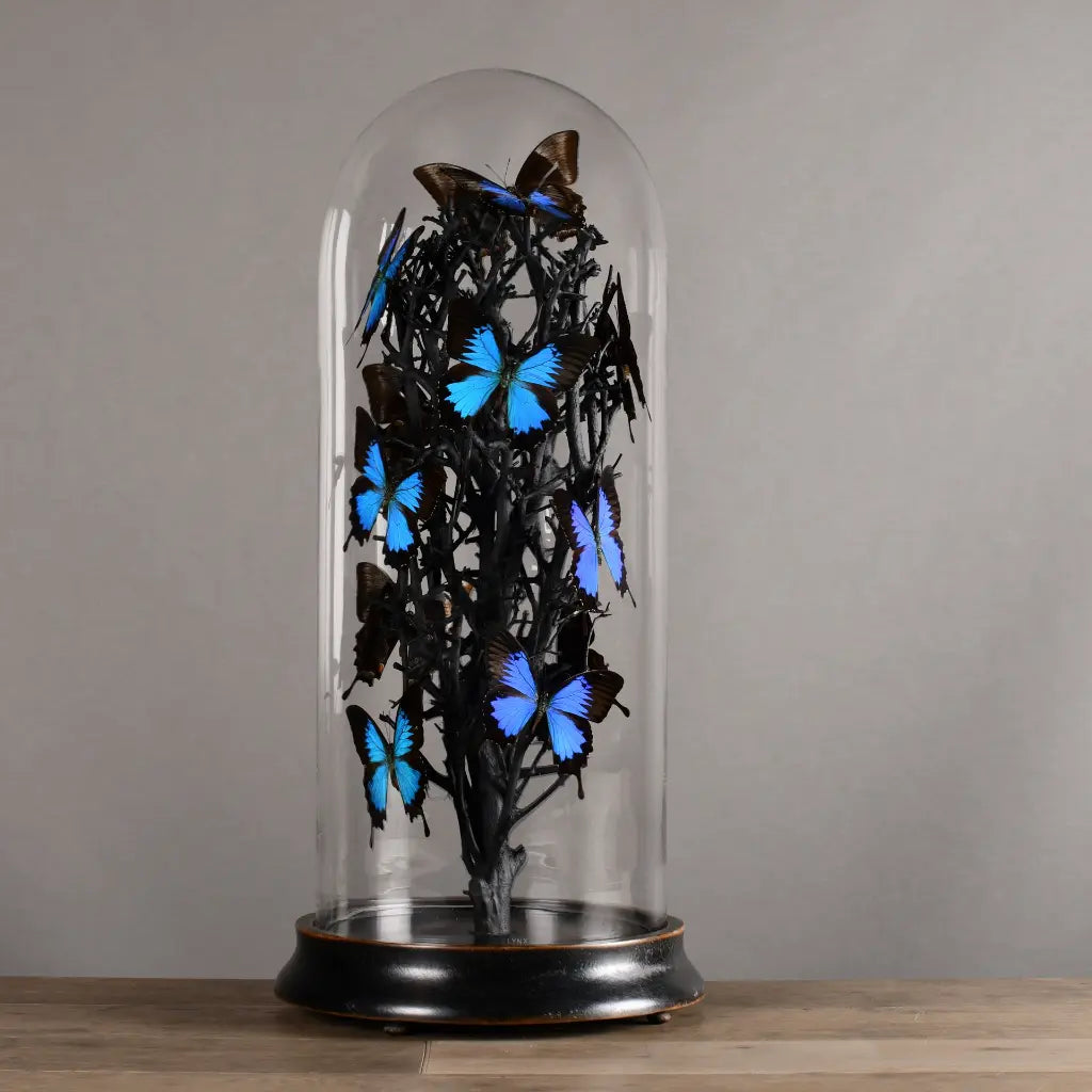 GLOBO  DI VETRO FARFALLE NATURALIA ULISSE BLUE XXL