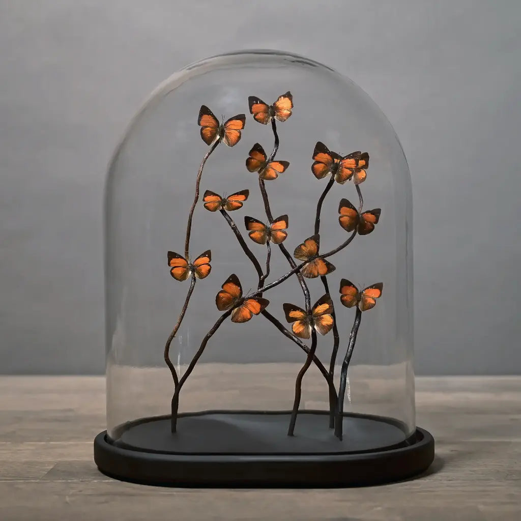 GLOBO DI VETRO OVALE FARFALLE ARANCIONI