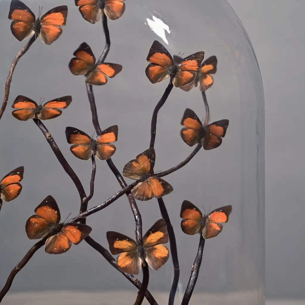 GLOBO DI VETRO OVALE FARFALLE ARANCIONI