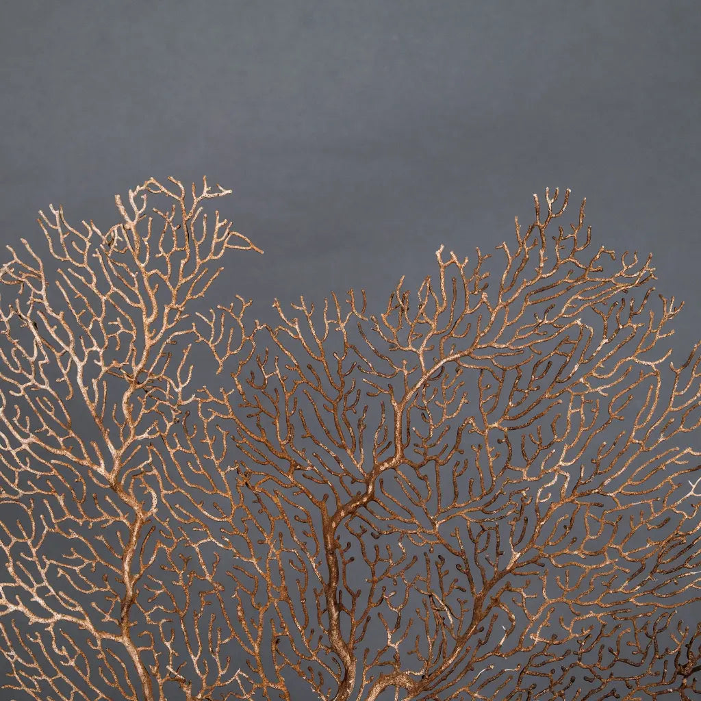 GORGONIA MARRONE CON SUPPORTO