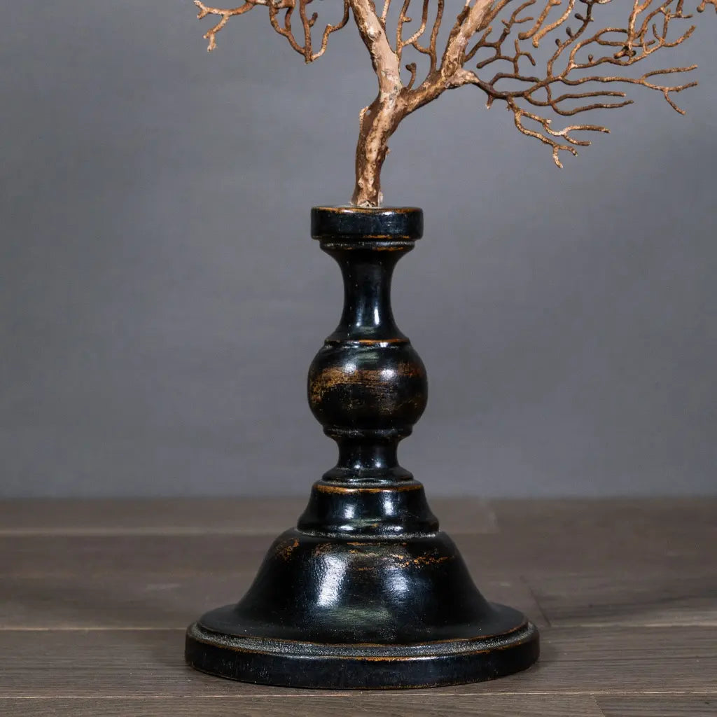 GORGONIA MARRONE CON SUPPORTO