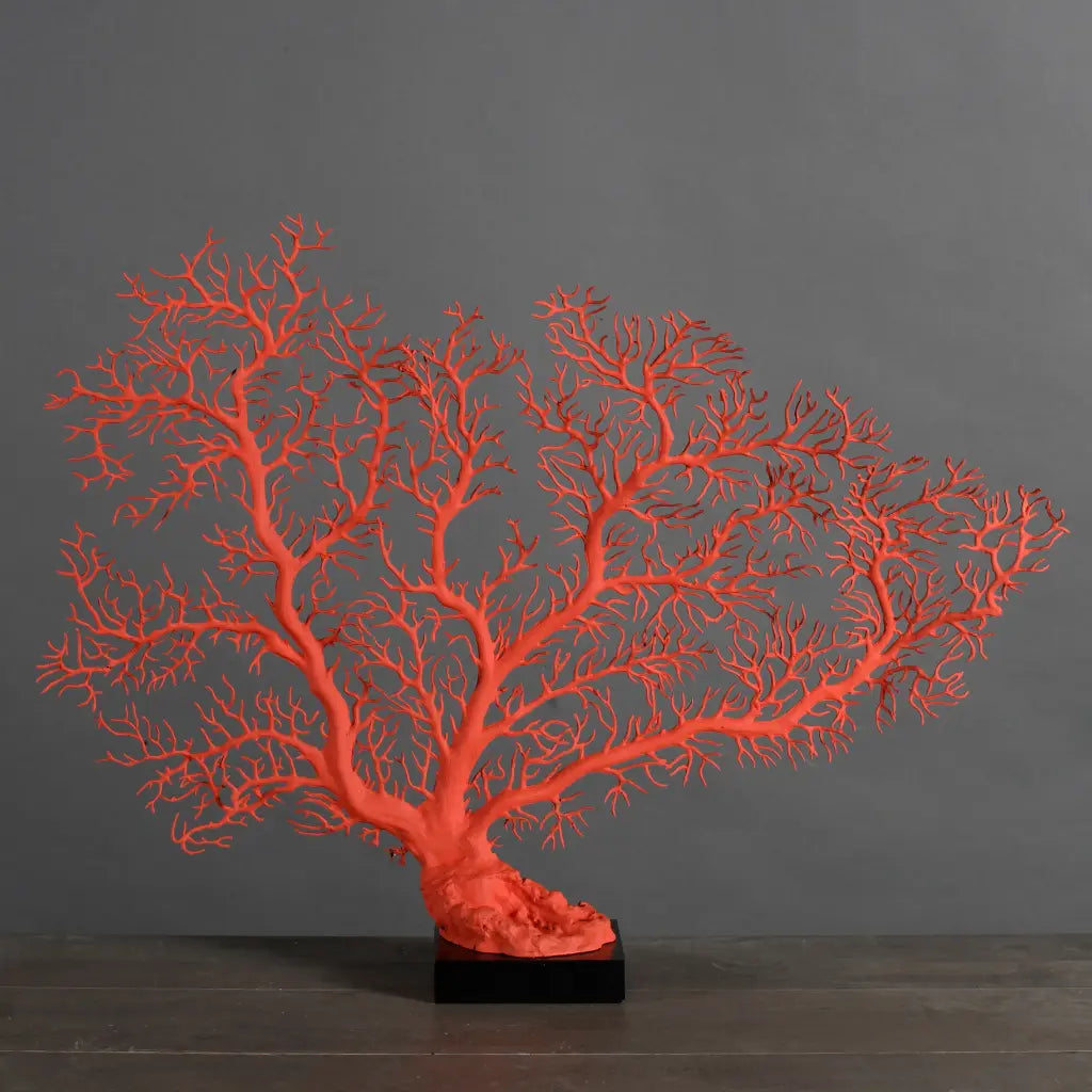 GORGONIA MARINA ROSSA