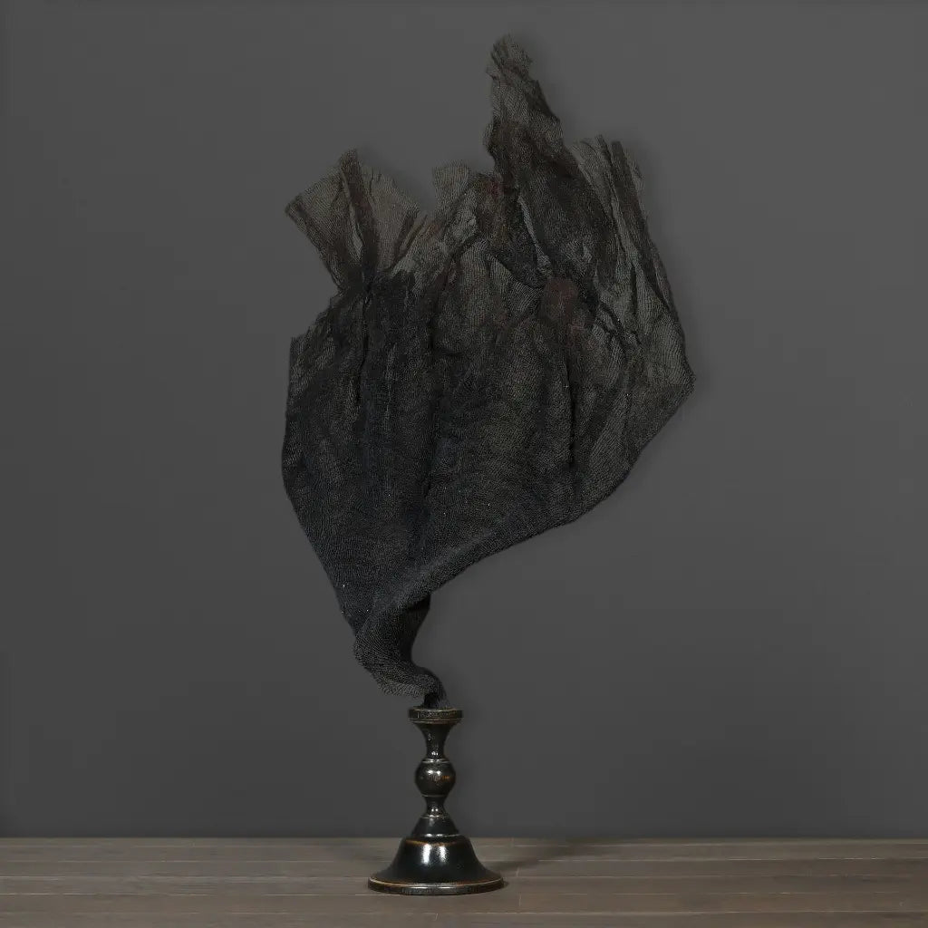 GORGONIA NERA GRANDE CON SUPPORTO