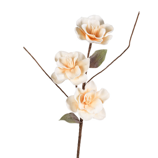 MAGNOLIA SALMONE FLOWERS