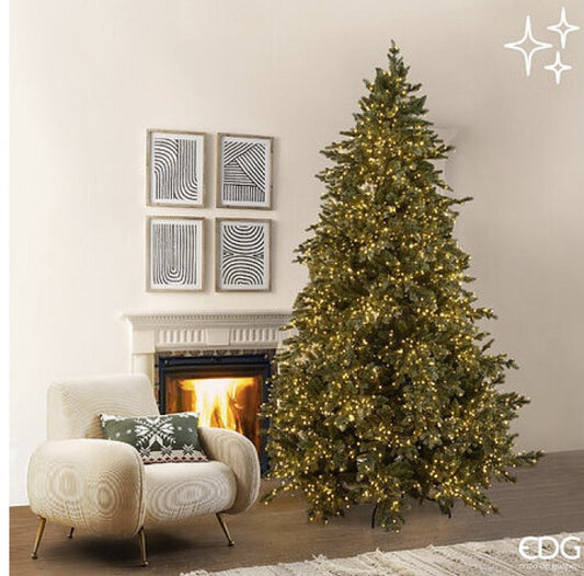 PINO ARGENTATO H270  6500MINILED