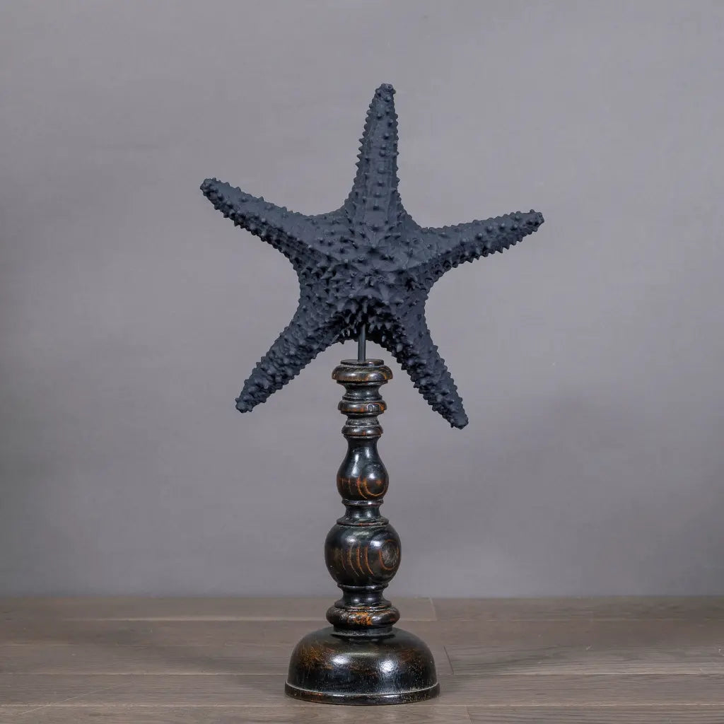 STELLA MARINA XL NERA