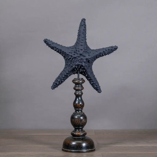 STELLA MARINA XL NERA