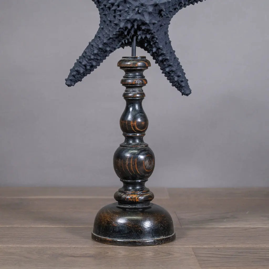 STELLA MARINA XL NERA