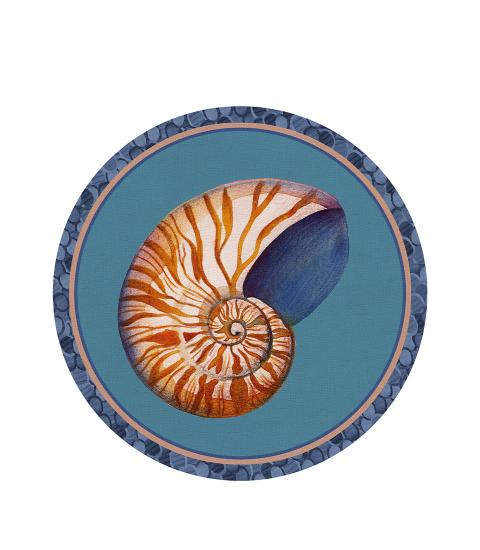 TOVAGLIETTA RIGIDA TURCHESE - NAUTILUS