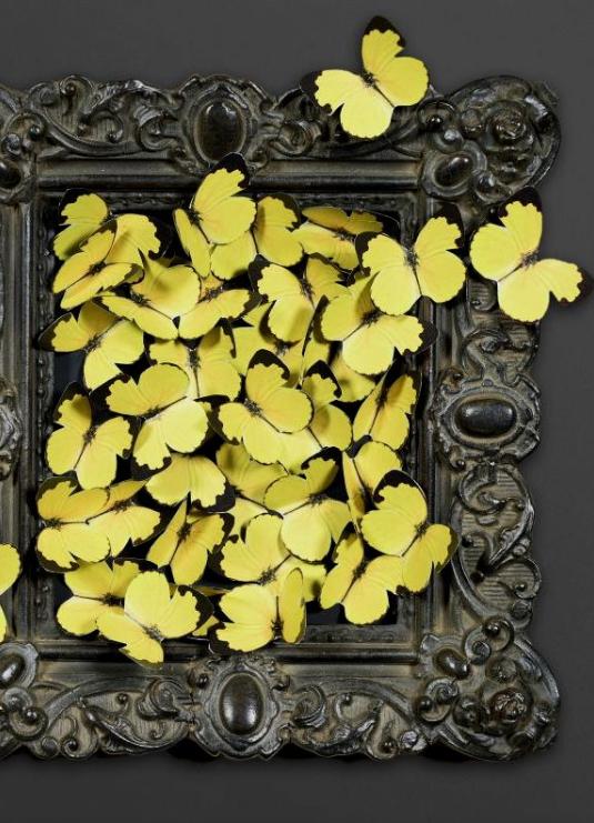 CORNICE CON FARFALLE GIALLE