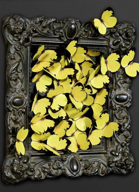 CORNICE CON FARFALLE GIALLE