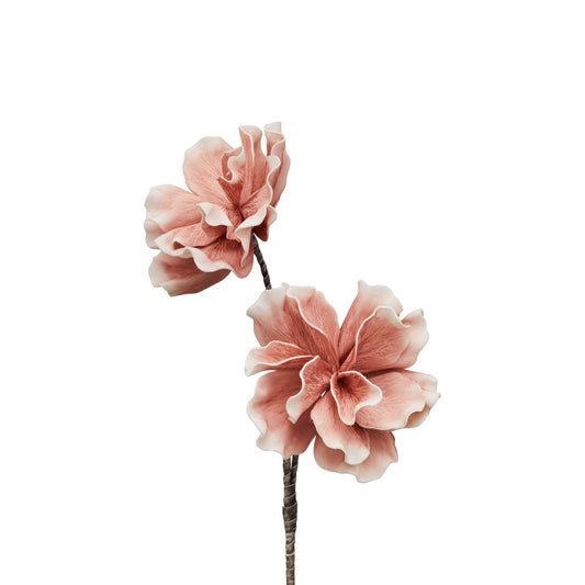 PEONIA ROSA FLOWERS