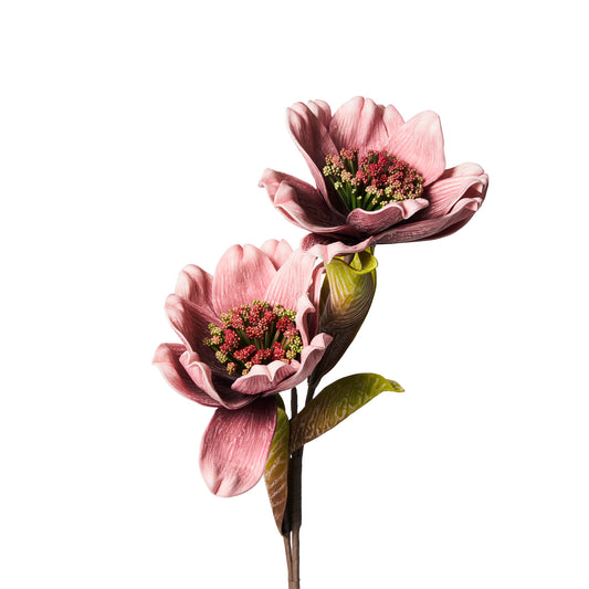 DOPPIA MAGNOLIA ROSA FLOWERS