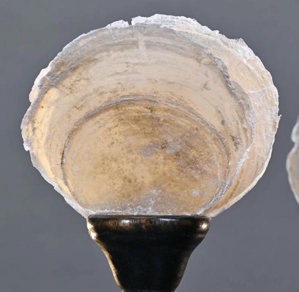 SET 2 PEZZI VENTAGLI MADREPERLA