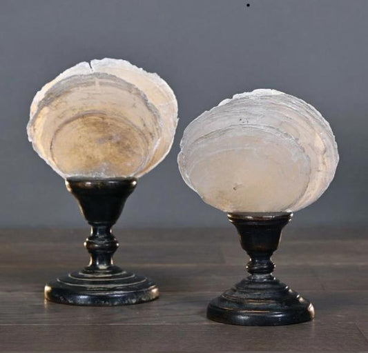 SET 2 PEZZI VENTAGLI MADREPERLA